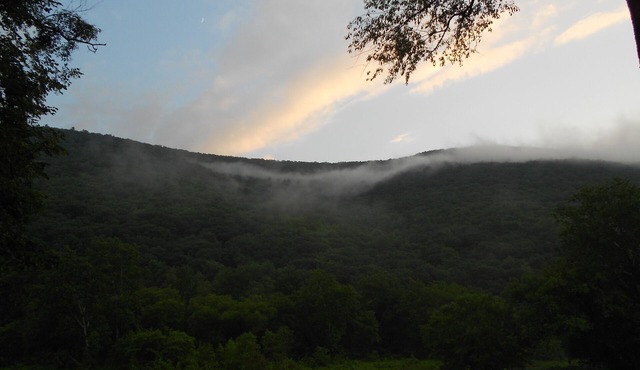 Pristine, Pet-friendly Creekfront Cabin