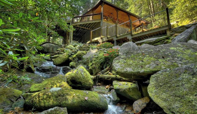 Privacy and Seclusion - Magical Creek Oasis & National Forest