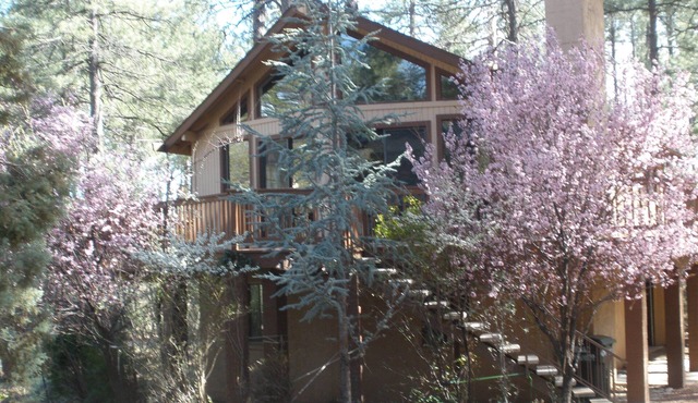Privacy! One & 1/2 acre with wrap around deck. Backs the National Forest.