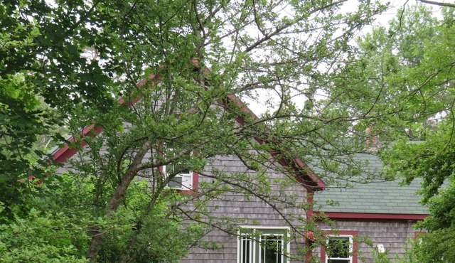 Privacy Within Community