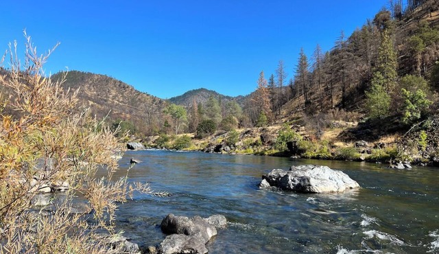 Private 1-bedroom 1-bathroom guest suite in the forested area of Trinity County.