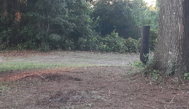 Private, 1 Mile to Poe, 4 miles to Blue, 6 Miles to Ginnie. Tent/Camper camping