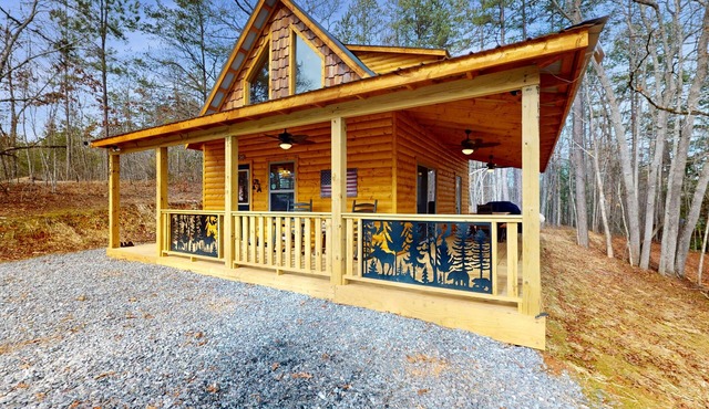 Private 1BR Cabin In Murphy with Mountain Views, Wifi, and Full Kitchen