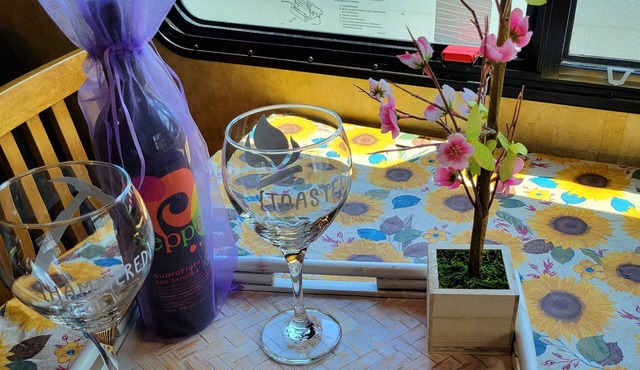 Private 2 bedroom 2 bathroom whole home dog friendly quiet Hideaway in Tampa Bay