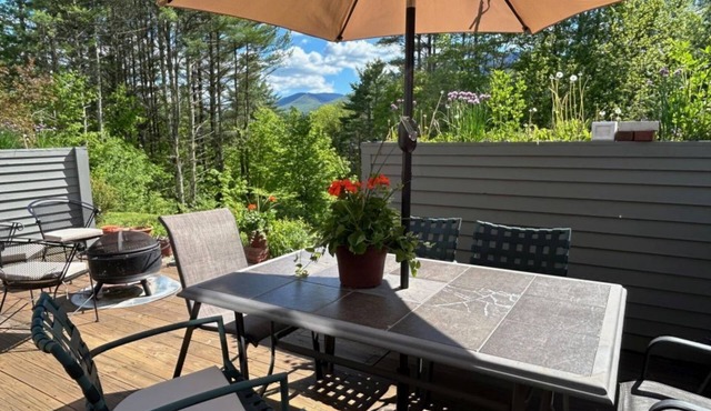 Private 2-bedroom condo with mountain views in charming Dorset, Vermont.