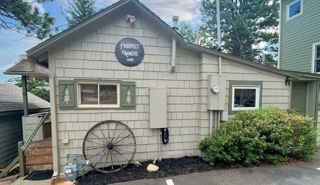 Private and cozy miners cabin with full kitchen. Dogs OK.