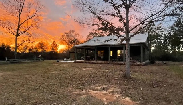 Private and peaceful setting surrounded by Longleaf Pines on the Perdido Rivernn