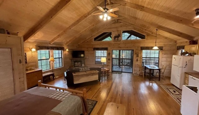 Private and Perfect! - hot tub, king bed, fireplace - dog and motorcycle friendly Studio Cabin by RedAwning
