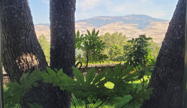 Private and quiet luxury studio suite on three acres overlooking Ashland.