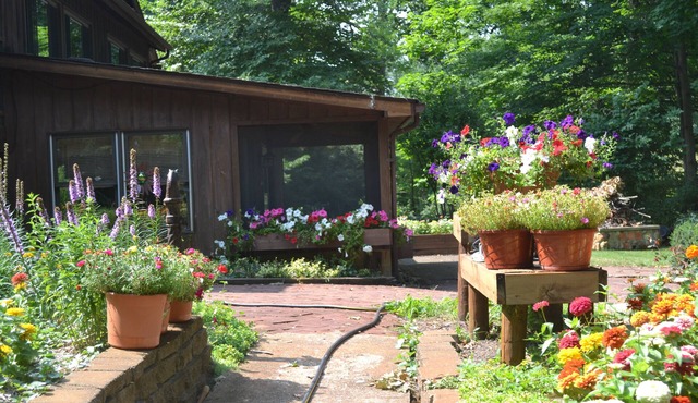 Private apartment in beautiful natural setting