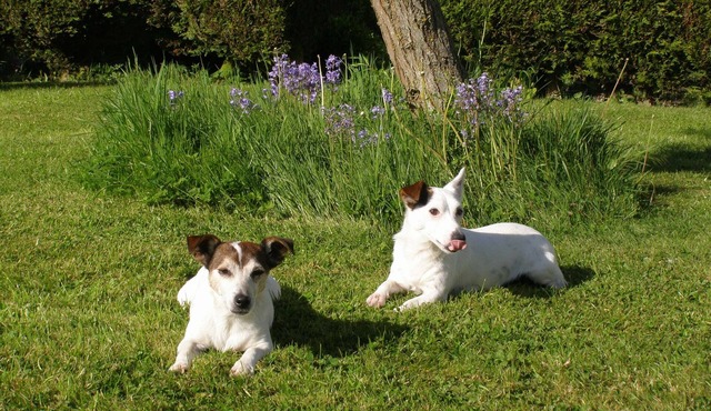 Private Apartment, Rural Setting, Easy Access To Countryside, Cities & Culture