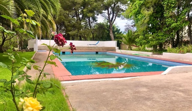 Private bungalow in an ecological farm 30 minutes from Valencia and beaches.