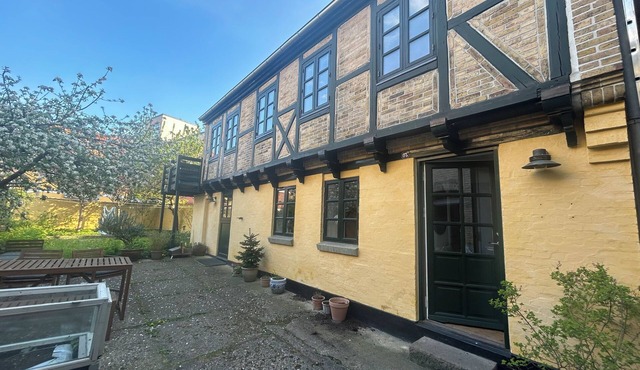 Private back house in central Odense