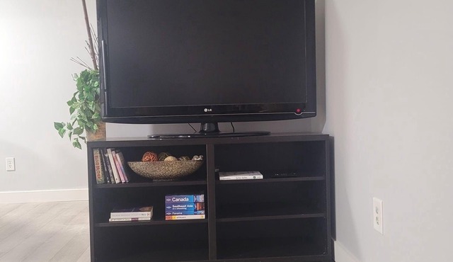 Private basement suite