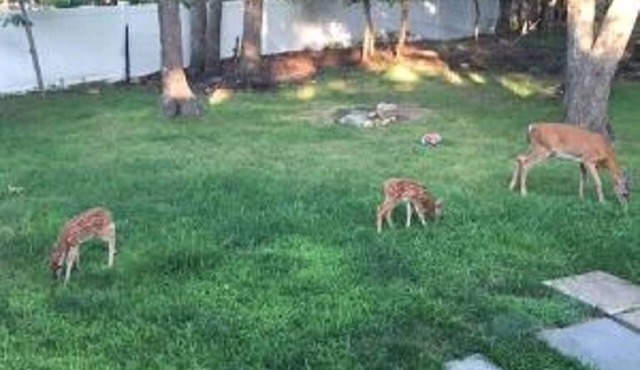 Private Bay Community 5 Minutes to Bay Beach-MEMORIAL-LABOR 10% DISCOUNT