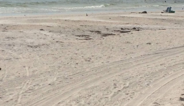 Private Beach 1 Block To Lido Beach. 1/2 Mile St. Armand Circle