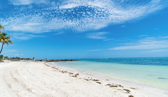 Private Beach! Ocean View Condo! Heated Pool! Balcony & Luxury Amenities!
