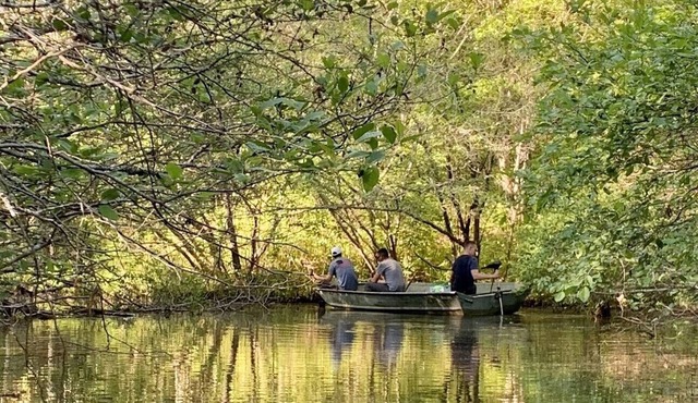 Private beautiful 100 Acre Lake & Cabin. Mt. Cheaha.Dog Friendly.Internet