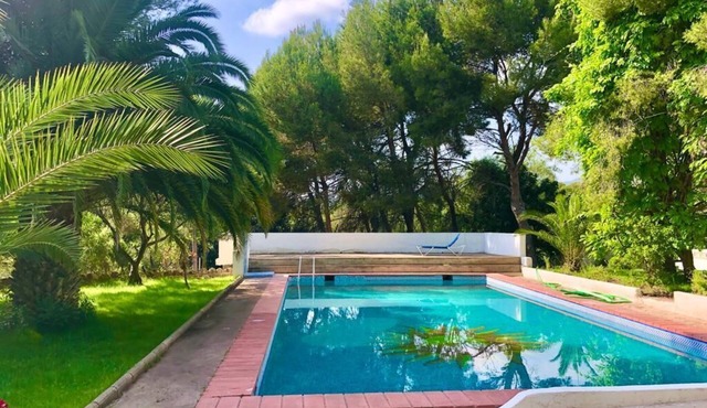 Private bungalow in ecological farm 30 minutes from Valencia and beaches.