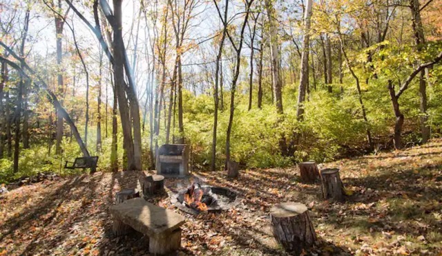 Private bungalow set in the forest