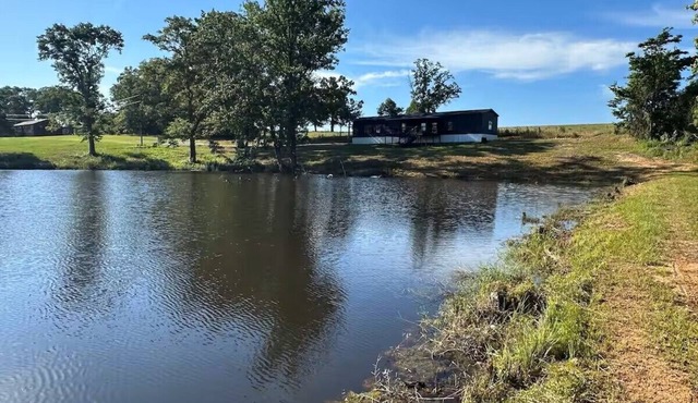 Private Cabin, 3 Bed Rooms, 2 Bath, nestled in the woods on a spring fed pond!