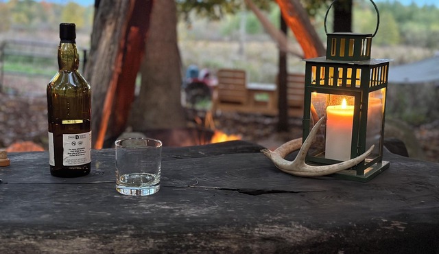 Private cabin and spa in the woods! Pet Friendly!