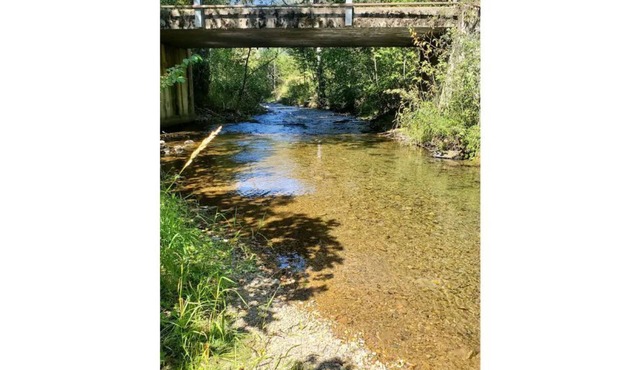Private cabin at Noxon Creekside Motel
