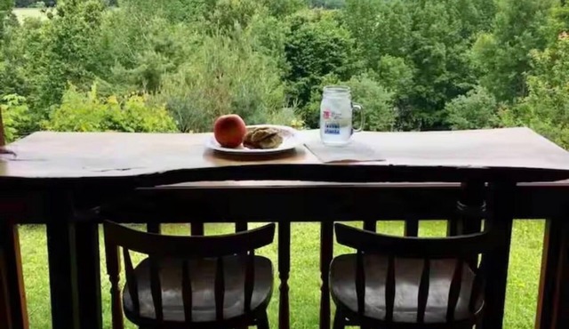 Private Cabin Near Cooperstown All Star Village - 14 Acres, Views & Guest House