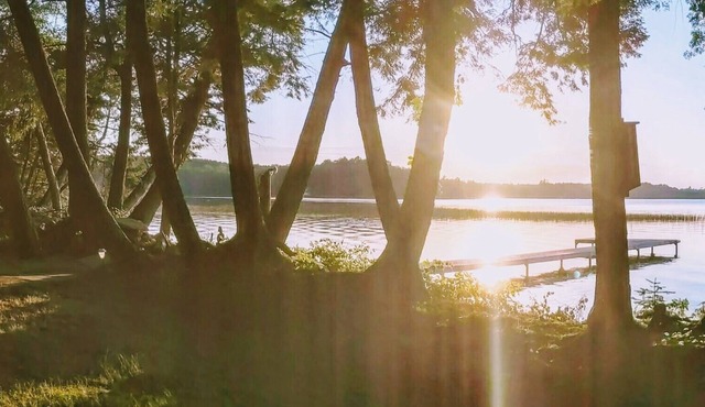 Private Cabin on South Shore Pelican Lake