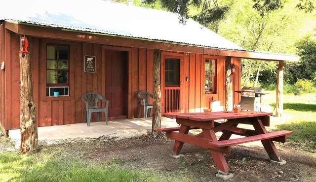 Private Cabin on the Conejos River, Pet Friendly, Sleeps 5
