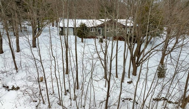 Private Cabin Retreat in Pretty River Valley |15 min to Blue Mountain