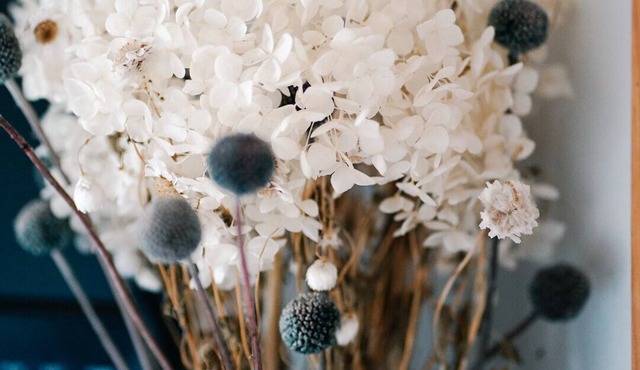 Private Cabin & Spa at Crystal Waters Eco Village