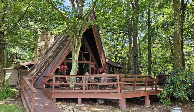 Private Cabin with Lake & Mountain Views on 10 Acres - Near Resorts - Book Now!