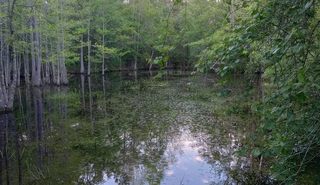 Private camping near Panama City and Panama City Beach. Includes a fire pit 🔥