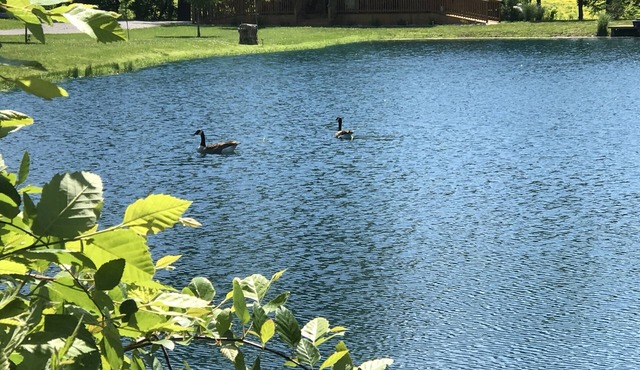 Private Catch & Release Lake - Boat Rental Included! Close To Lake Cumberland!