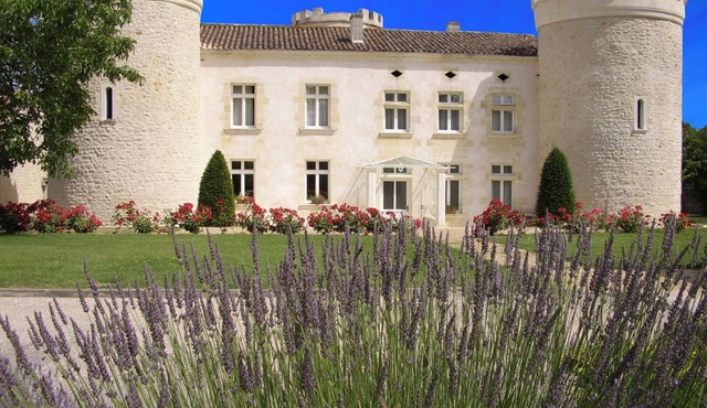 Private Château with Lake, Vineyards, Forest & Multi-Sport Court!