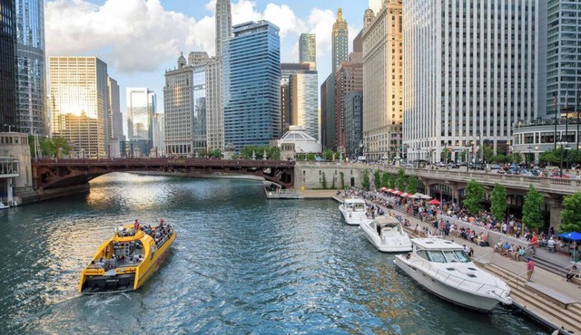 Private Chicago Retreat Minutes to Logan Square!