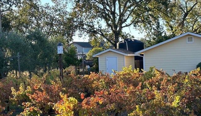 Private Cottage 5 minutes from Downtown Healdsburg and Windsor on country lane