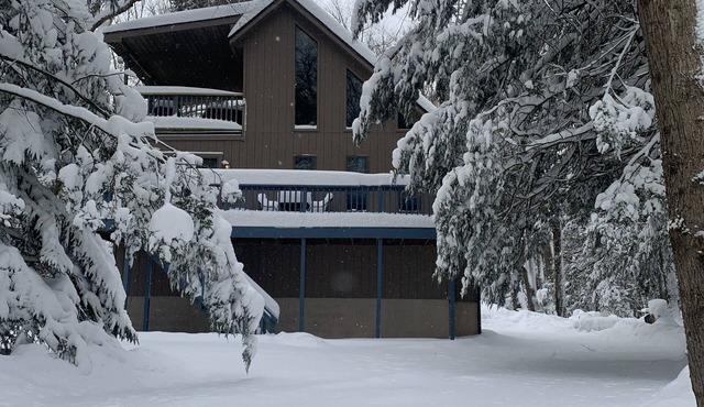 Private Cottage Nestled in the Trees;Pet Friendly-Near Slopes-Waterpks-JimThorpe