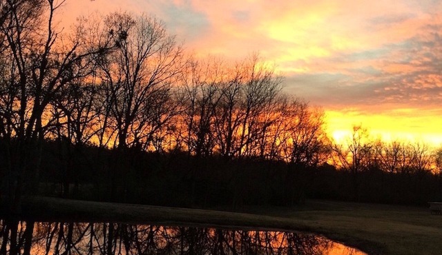 Private cottage situated on 6.5 acres, beautiful sunrises, pond, fishing & more.