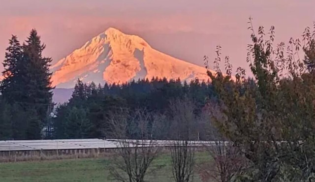 Private country home, Mt. Hood view, hot tub, full kitchen, business class Wi-Fi