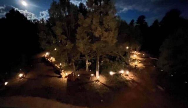Private/Cozy 2 bedroom mountain cabin Serenity now
