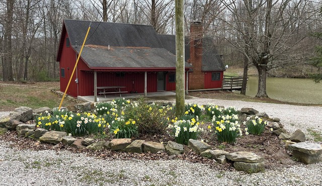 Private, cozy cabin on 13 acres with two ponds