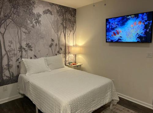 Private, Cozy Studio in Downtown Stamford, CT