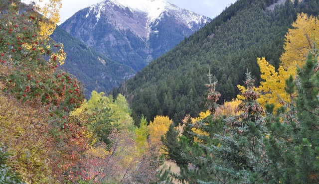 Private Creekside Retreat Near Yellowstone & Chico Hot Springs