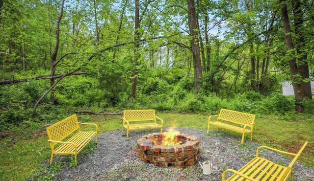 Private, Dog Friendly Cottage Near Route 151 + Wintergreen