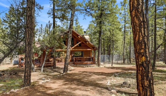 Private Dog Friendly Log Cabin on 2 Acres No Front Neighbors