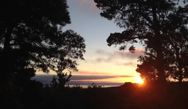 Private , Dog Friendly, Monterey Peninsula