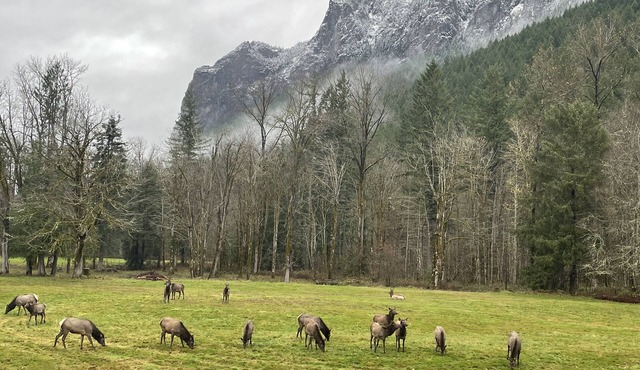 Private downtown home VIEWS -OUTDOOR TUBS + Fire Pit