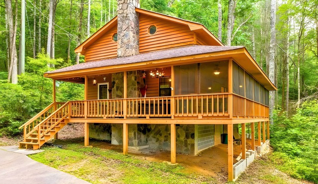 Private Ellijay Cabin Sleeps 6 - Loft, Stone Fireplace, Trails & Lake Nearby